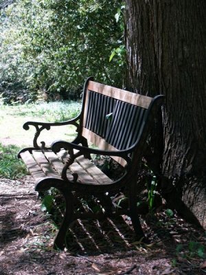 If this chair could talk