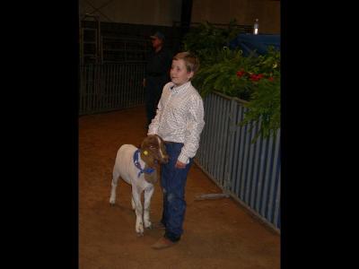  County Livestock Show 2006