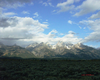P1000480x10x8siga.jpg