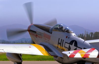 P-51D Mustang American Beauty