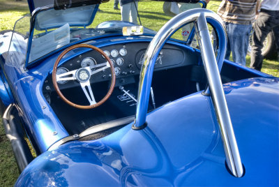 1965 F-4 Shelby Cobra - Roll Cage
