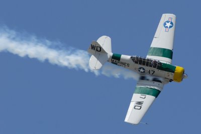 T-6 Texan War Dog