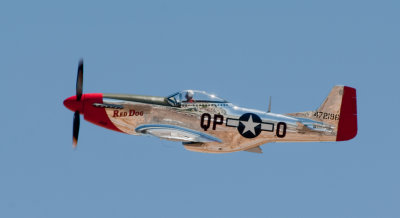 Ron Pratt's P-51D Mustang RedDog