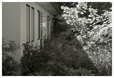 The soft Shadows of the Morning