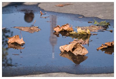 Autumnal Paris