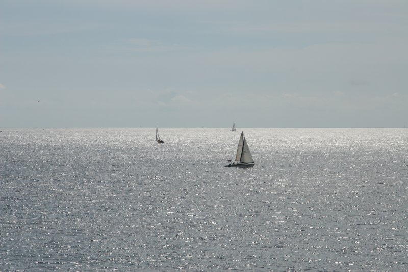 IMG_2805.JPG