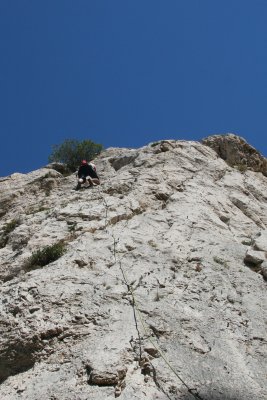 IMG_2725.JPG