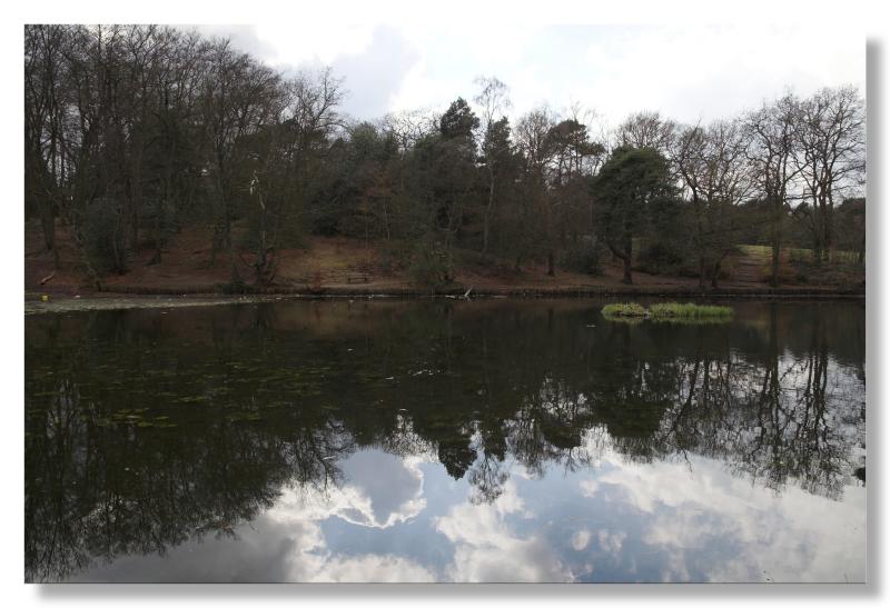 Dull reflections!