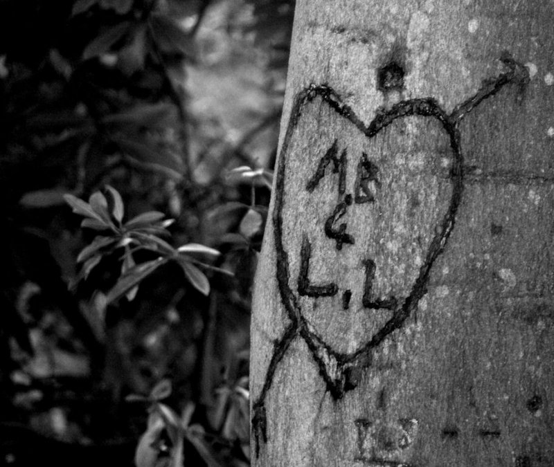 I love you... Keston