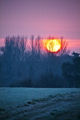 16 December - Early sun...