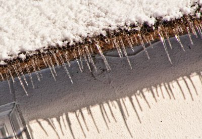 Icicles from the thatch