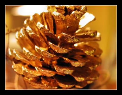 Golden cone
