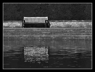 bench & reflection