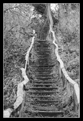 Going up