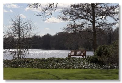 View across the lake