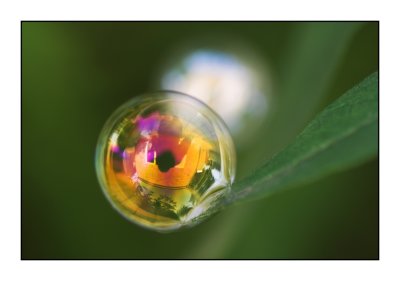 bubble_world