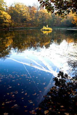 Plane trails on the pond