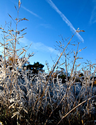 Ground frost