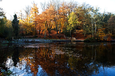 Autumnal reflections