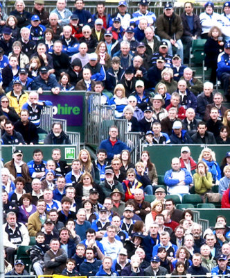 Rugby crowd