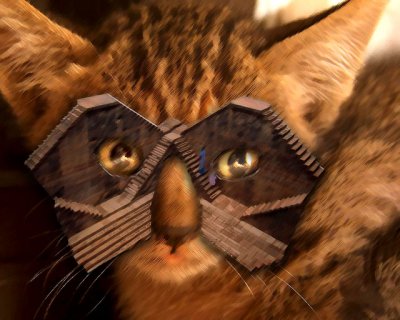 Kitty-Specs.jpg