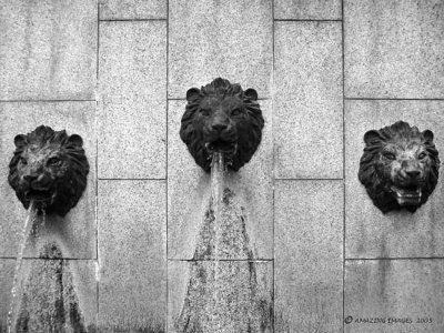 Lion-fountains-original.jpg