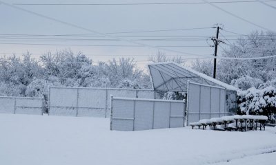 snow baseball field