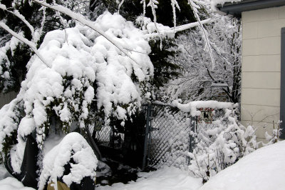 snow gate