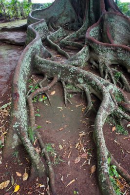 Azores 2007