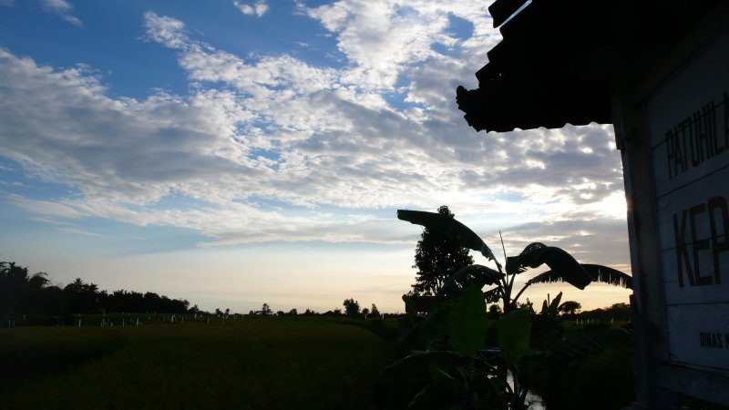 Bali  love u so much