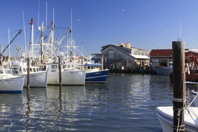 8.  The commercial fishing marina and packing house.