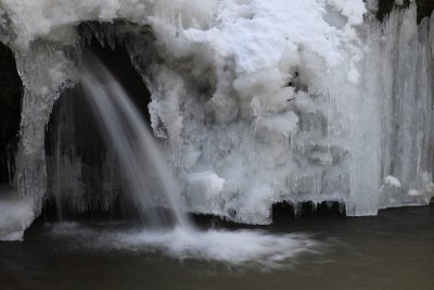 14. At the base of the frozen-over Artists' Falls.
