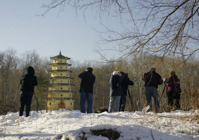 The group shoots the pagoda.