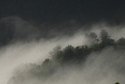 2.  A ridge rising above the fog.