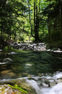 7.  Downstream from Artists' Falls, the old mill on the right.