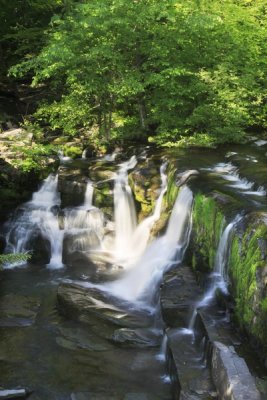 5.  Schalk's Falls