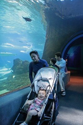 Inside The Tunnel
