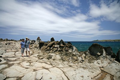 Dragon's Teeth
