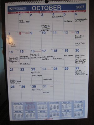 Busy Lives