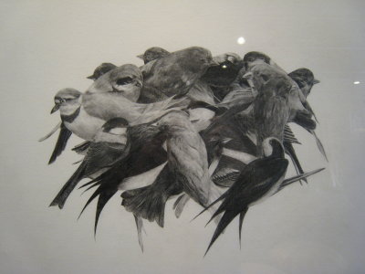 thomas beale - he has prints of this for $250