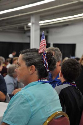 Star Spangled Hair