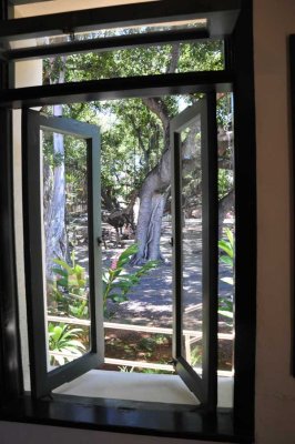 View from a courthouse window