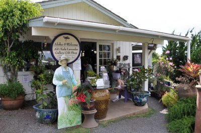 At the Ali'i Kula Lavender Farm