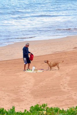 A happy beach dog