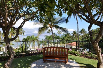 A perfect sitting place