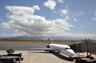 Waiting to fly, Kahului, Maui