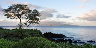 Day 5: Maui to Arizona