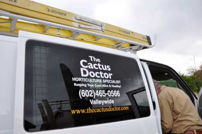 Our saguaro likes the Doctor!