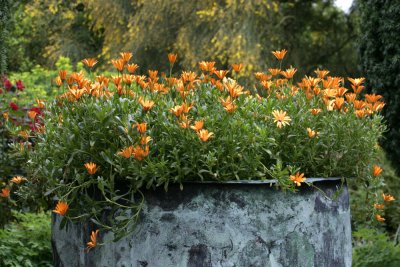 Sissinghurst