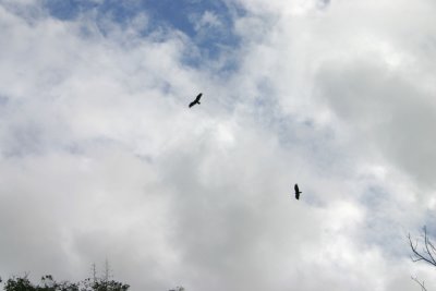 g3/53/576253/3/115507740.OmTTQMOX.jpg